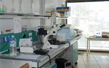 Laboratorio Analisi Cliniche Baiata